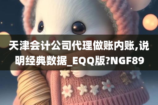 天津会计公司代理做账内账,说明经典数据_EQQ版?NGF89