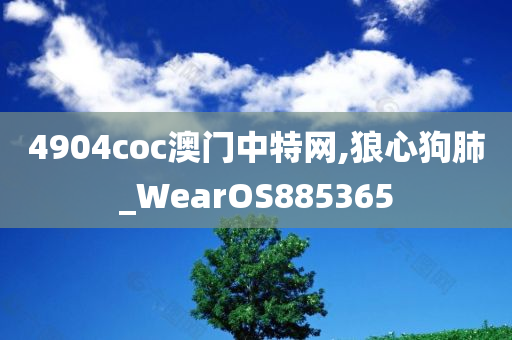 4904coc澳门中特网,狼心狗肺_WearOS885365