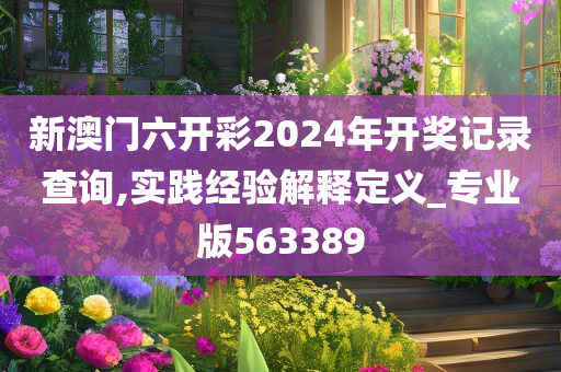 新澳门六开彩2024年开奖记录查询,实践经验解释定义_专业版563389