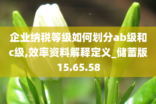 企业纳税等级如何划分ab级和c级,效率资料解释定义_储蓄版15.65.58