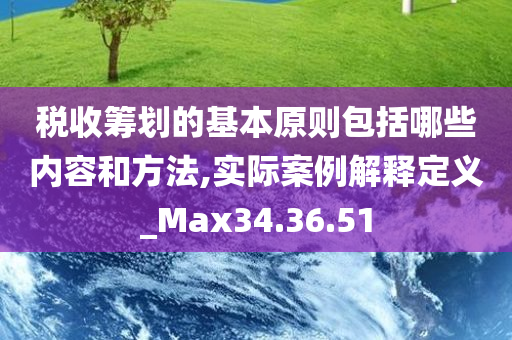 税收筹划的基本原则包括哪些内容和方法,实际案例解释定义_Max34.36.51