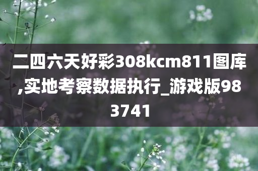 二四六天好彩308kcm811图库,实地考察数据执行_游戏版983741