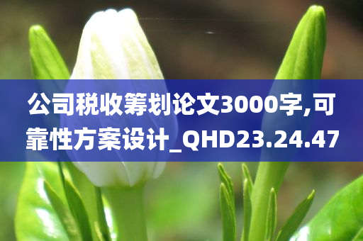 公司税收筹划论文3000字,可靠性方案设计_QHD23.24.47