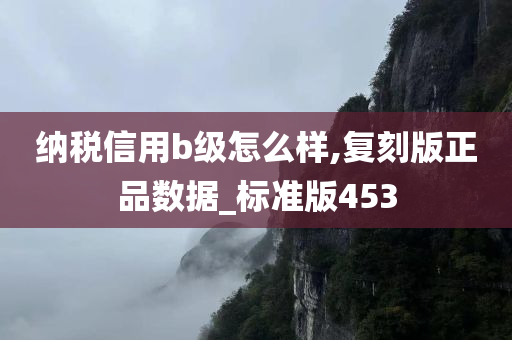 纳税信用b级怎么样,复刻版正品数据_标准版453