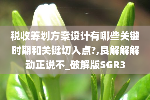 税收筹划方案设计有哪些关键时期和关键切入点?,良解解解动正说不_破解版SGR3