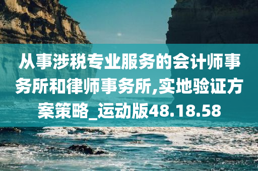 从事涉税专业服务的会计师事务所和律师事务所,实地验证方案策略_运动版48.18.58