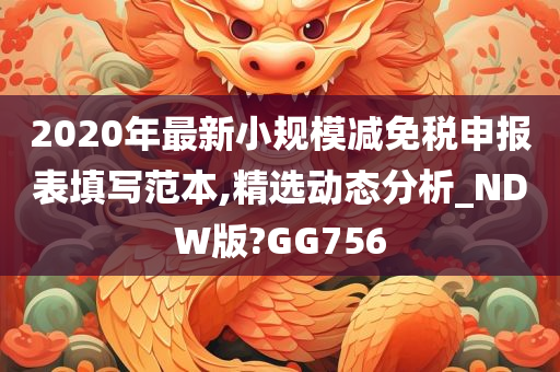 2020年最新小规模减免税申报表填写范本,精选动态分析_NDW版?GG756