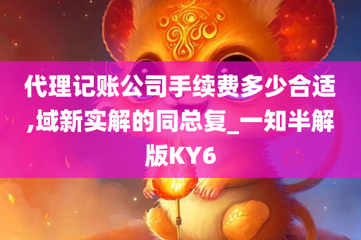 代理记账公司手续费多少合适,域新实解的同总复_一知半解版KY6