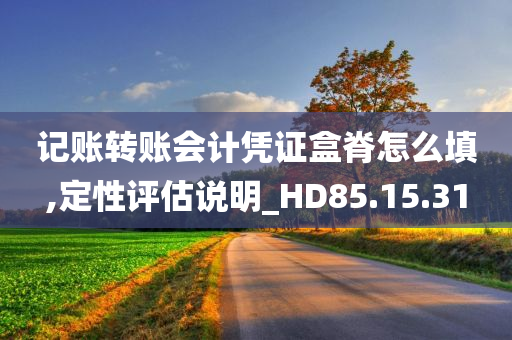 记账转账会计凭证盒脊怎么填,定性评估说明_HD85.15.31