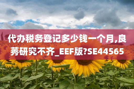 代办税务登记多少钱一个月,良莠研究不齐_EEF版?SE44565