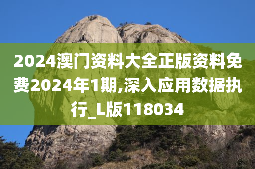 2024澳门资料大全正版资料免费2024年1期,深入应用数据执行_L版118034