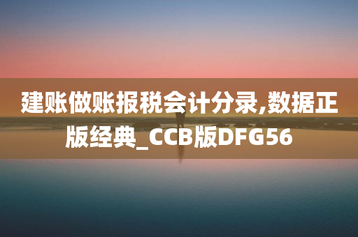 建账做账报税会计分录,数据正版经典_CCB版DFG56