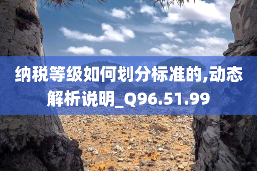 纳税等级如何划分标准的,动态解析说明_Q96.51.99