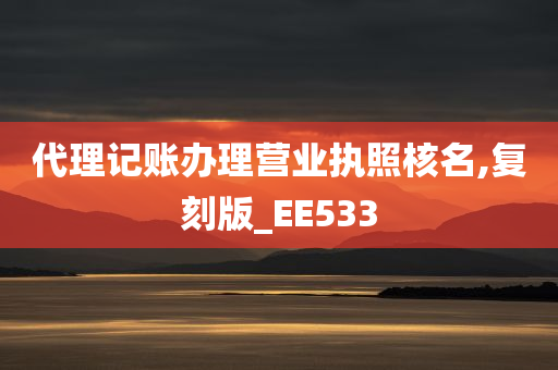 代理记账办理营业执照核名,复刻版_EE533