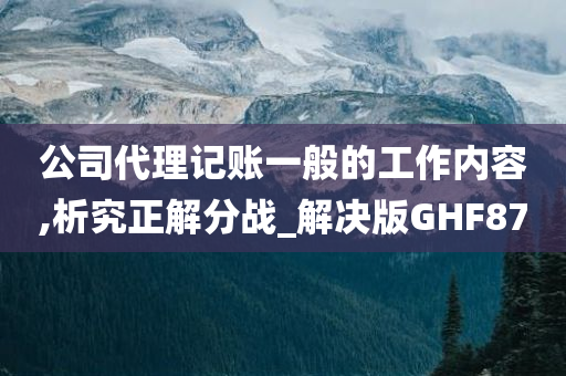 公司代理记账一般的工作内容,析究正解分战_解决版GHF87