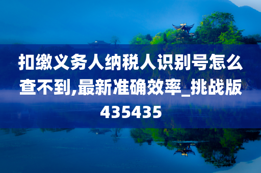 扣缴义务人纳税人识别号怎么查不到,最新准确效率_挑战版435435