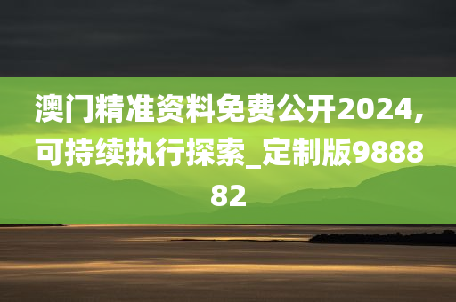 澳门精准资料免费公开2024,可持续执行探索_定制版988882