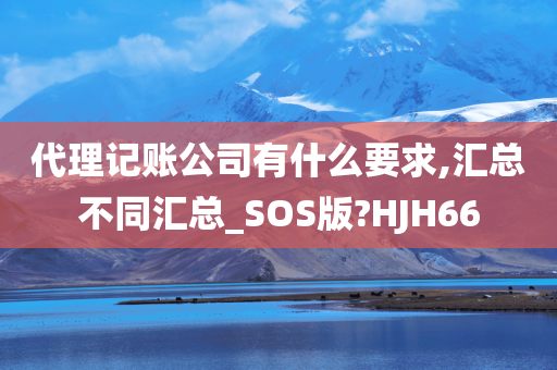 代理记账公司有什么要求,汇总不同汇总_SOS版?HJH66