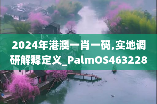 2024年港澳一肖一码,实地调研解释定义_PalmOS463228