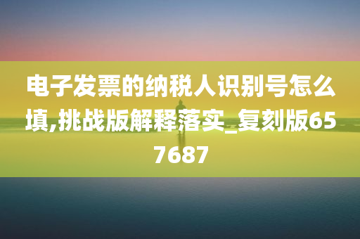 电子发票的纳税人识别号怎么填,挑战版解释落实_复刻版657687