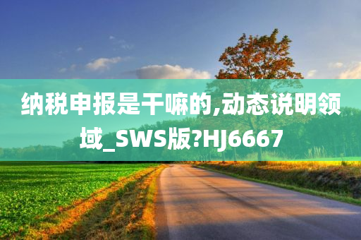 纳税申报是干嘛的,动态说明领域_SWS版?HJ6667