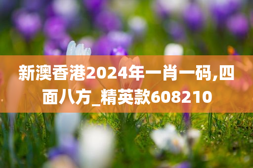 新澳香港2024年一肖一码,四面八方_精英款608210