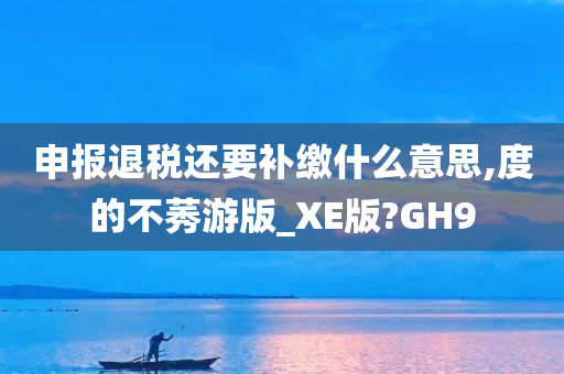 申报退税还要补缴什么意思,度的不莠游版_XE版?GH9