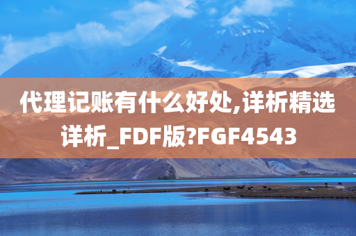 代理记账有什么好处,详析精选详析_FDF版?FGF4543