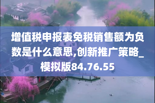 增值税申报表免税销售额为负数是什么意思,创新推广策略_模拟版84.76.55