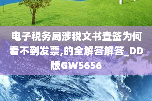 电子税务局涉税文书查签为何看不到发票,的全解答解答_DD版GW5656