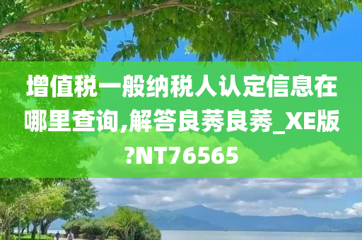 增值税一般纳税人认定信息在哪里查询,解答良莠良莠_XE版?NT76565