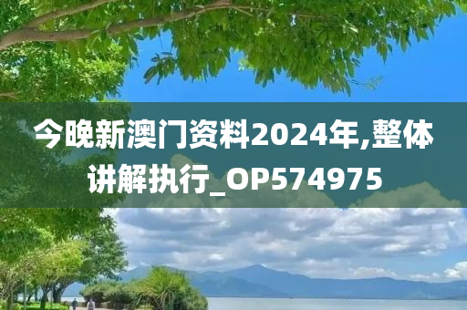 今晚新澳门资料2024年,整体讲解执行_OP574975