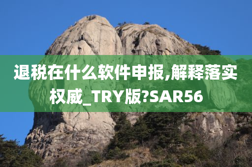 退税在什么软件申报,解释落实权威_TRY版?SAR56