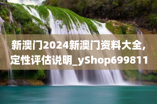 新澳门2024新澳门资料大全,定性评估说明_yShop699811