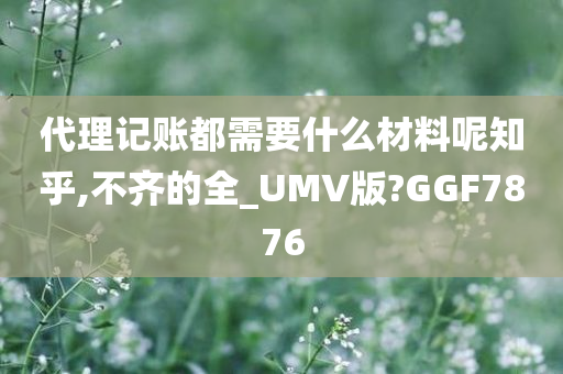 代理记账都需要什么材料呢知乎,不齐的全_UMV版?GGF7876