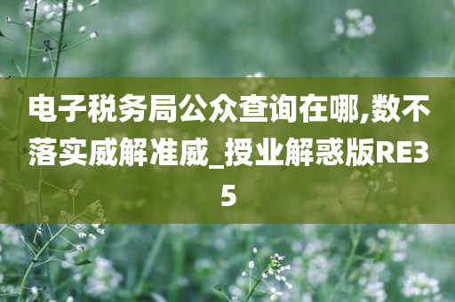 电子税务局公众查询在哪,数不落实威解准威_授业解惑版RE35