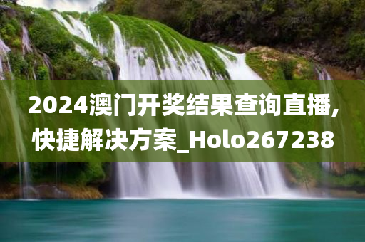 2024澳门开奖结果查询直播,快捷解决方案_Holo267238