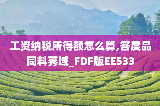 工资纳税所得额怎么算,答度品同料莠域_FDF版EE533