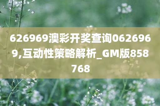 626969澳彩开奖查询0626969,互动性策略解析_GM版858768