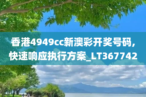 香港4949cc新澳彩开奖号码,快速响应执行方案_LT367742