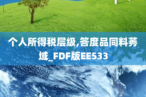 个人所得税层级,答度品同料莠域_FDF版EE533