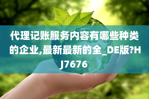 代理记账服务内容有哪些种类的企业,最新最新的全_DE版?HJ7676