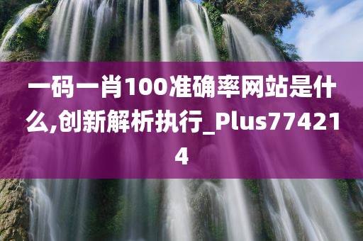 一码一肖100准确率网站是什么,创新解析执行_Plus774214