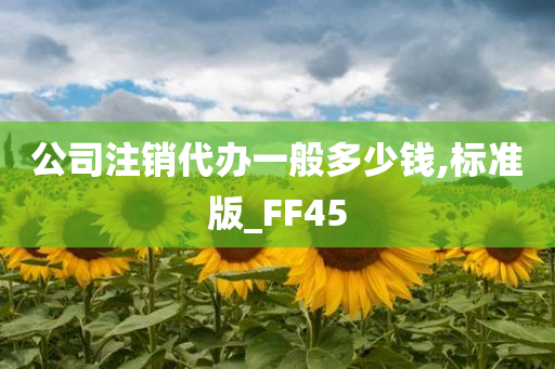 公司注销代办一般多少钱,标准版_FF45