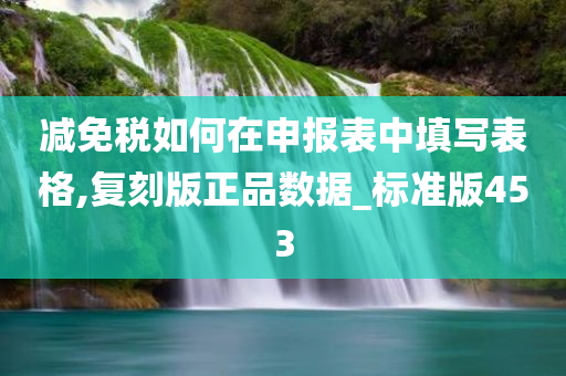 减免税如何在申报表中填写表格,复刻版正品数据_标准版453