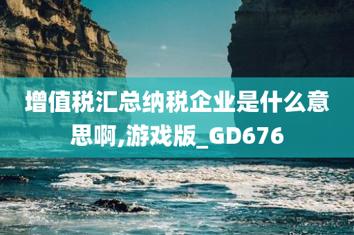 增值税汇总纳税企业是什么意思啊,游戏版_GD676