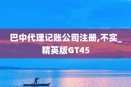 巴中代理记账公司注册,不实_精英版GT45