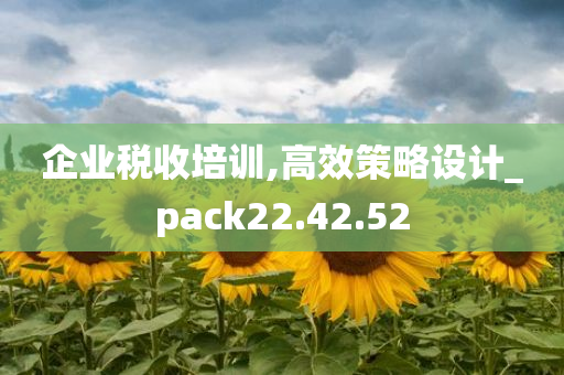 企业税收培训,高效策略设计_pack22.42.52