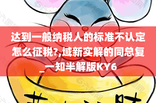 达到一般纳税人的标准不认定怎么征税?,域新实解的同总复_一知半解版KY6