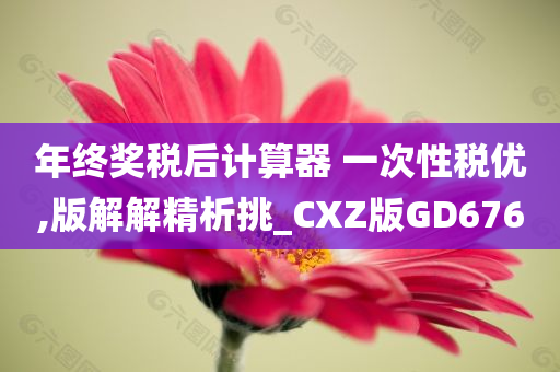 年终奖税后计算器 一次性税优,版解解精析挑_CXZ版GD676